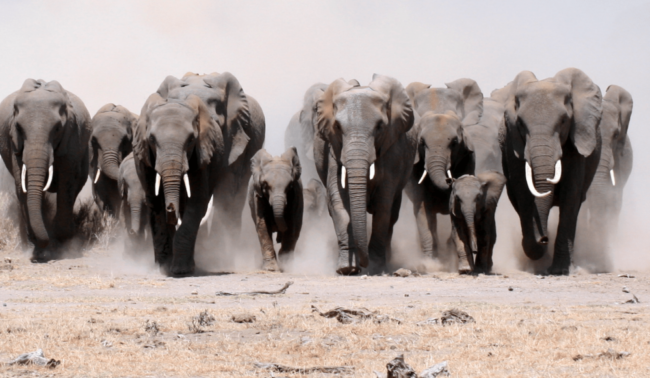 Screen Shot 2017-05-18 at 4.31.46 PM business software template