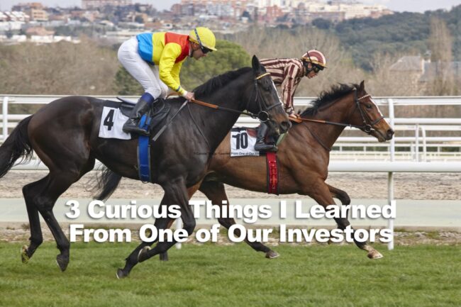 Horse race training. Competition sport. Hippodrome. Speed